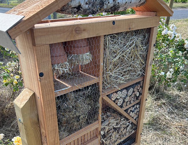 Sustainable bug hotel in vineyard