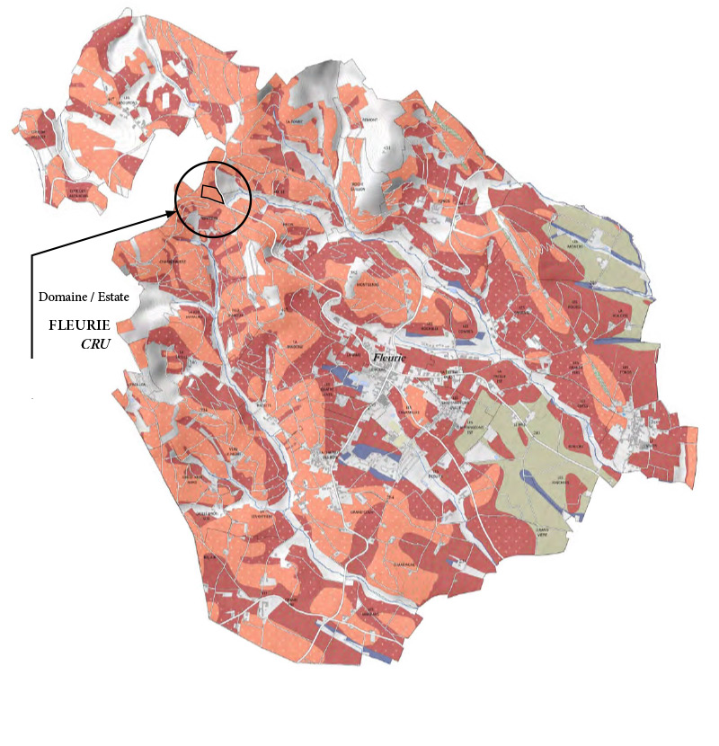 Map of Fleurie cru in Baujolais, France