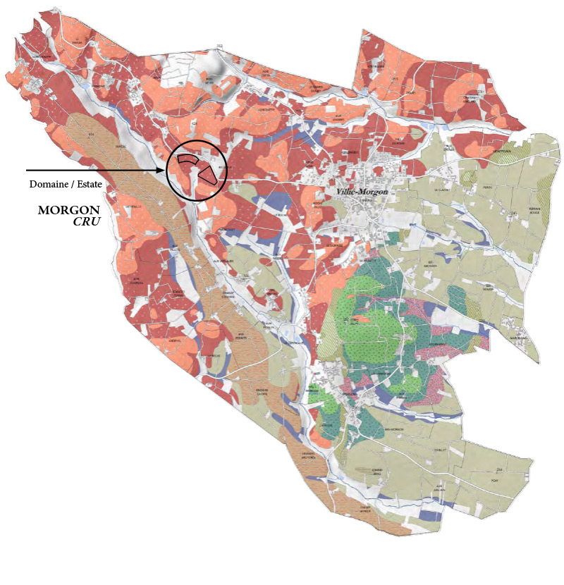 Map of Morgon cru in Baujolais, France