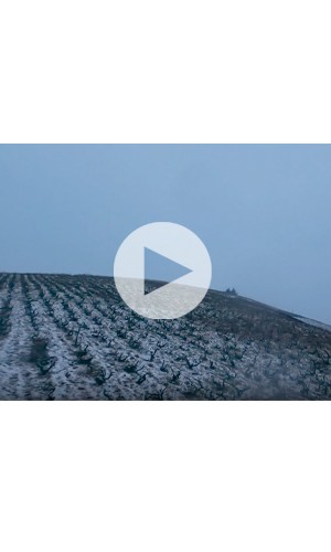 Domaine Jonathan Pey - Fleurie Fonfotin Vineyard drone video thumb 