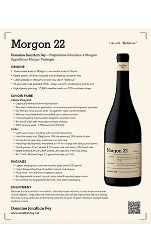 Domaine Jonathan Pey Morgon Bellevue Cru 2022 tasting notes thumb