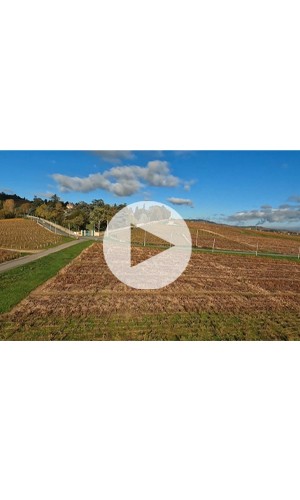 Domaine Jonathan Pey - Morgon Bellevue Vineyard drone video thumb