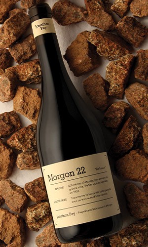 Domaine Jonathan Pey Morgon Bellevue Cru 2022 Beauty Image thumb